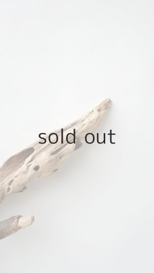 画像6: 変形流木