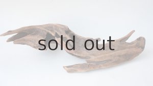 画像4: 変形流木