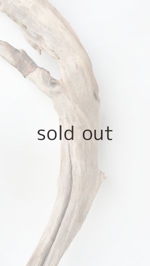 画像3: 変形流木