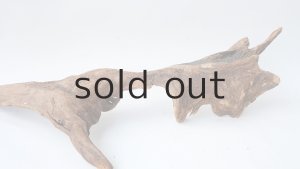 画像7: 変形流木