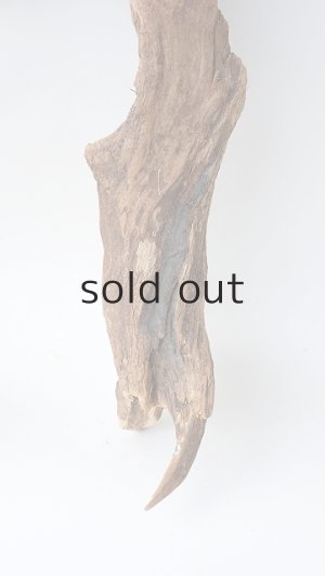 画像2: 変形流木