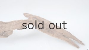 画像6: 変形流木