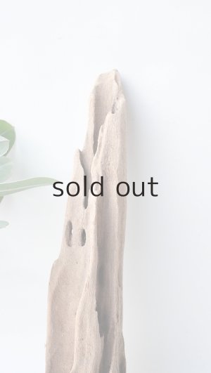 画像4: 変形流木