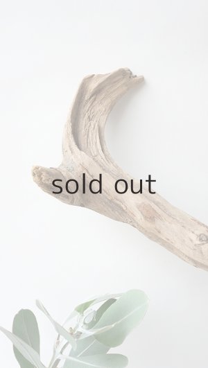 画像4: 変形流木