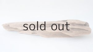 画像6: 変形流木