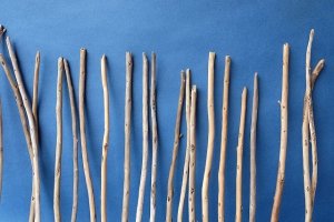 画像6: 棒流木セット