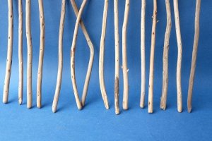 画像5: 棒流木セット