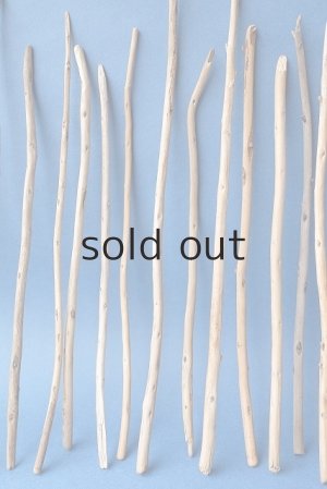 画像3: 棒流木セット