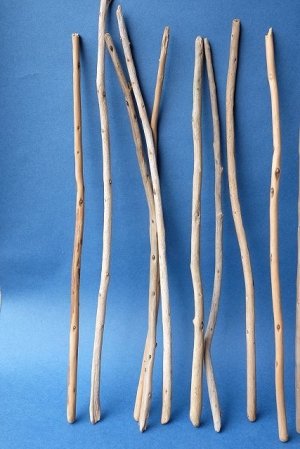 画像2: 棒流木セット