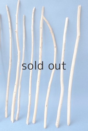 画像5: 棒流木セット