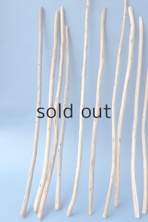 画像2: 棒流木セット