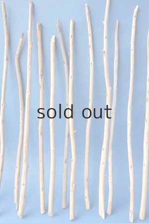 画像4: 棒流木セット