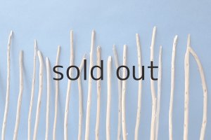 画像7: 棒流木セット