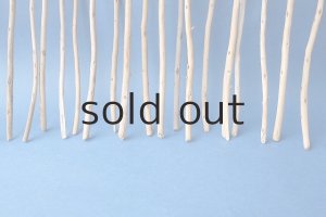 画像6: 棒流木セット