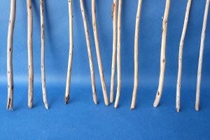 画像2: 棒流木セット