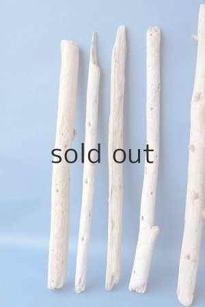 画像4: 棒流木セット