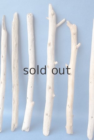 画像5: 棒流木セット