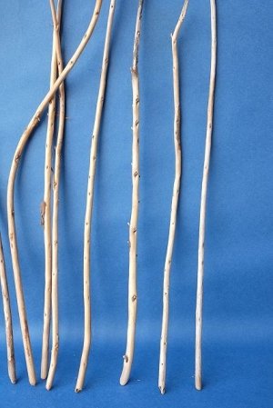 画像6: 棒流木セット