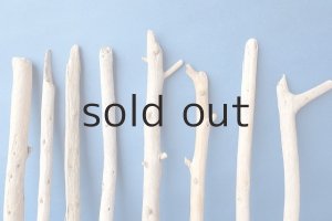 画像3: 棒流木セット