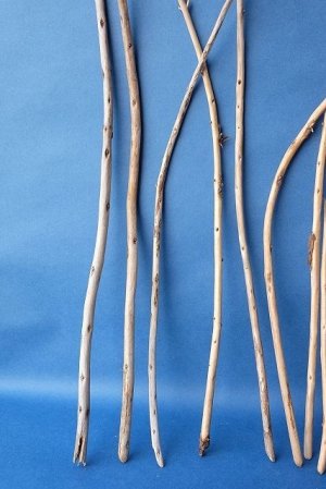 画像4: 棒流木セット