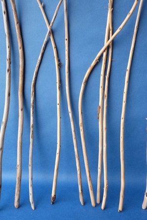 画像5: 棒流木セット