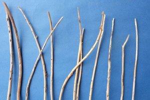 画像3: 棒流木セット