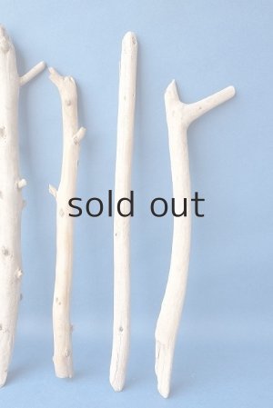 画像6: 棒流木セット