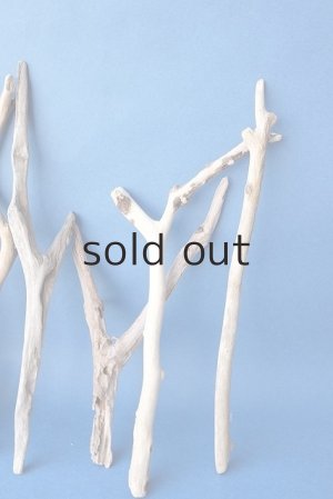 画像5: 小枝流木セット