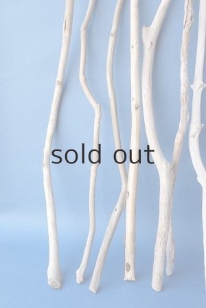 画像2: 小枝流木セット