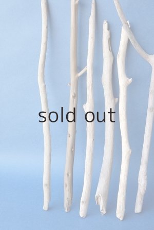 画像2: 小枝流木セット