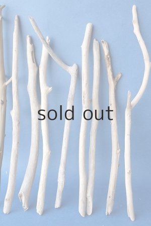 画像3: 小枝流木セット