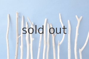 画像6: 小枝流木セット