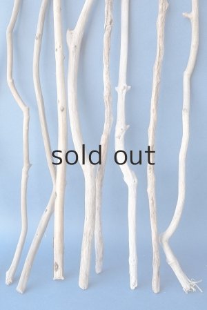 画像3: 小枝流木セット