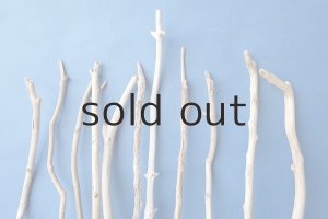 画像6: 小枝流木セット