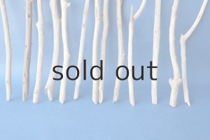 画像5: 小枝流木セット