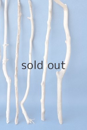 画像4: 小枝流木セット