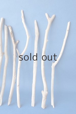 画像4: 小枝流木セット