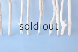 画像5: 小枝流木セット