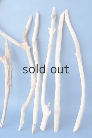 画像4: 小枝流木セット