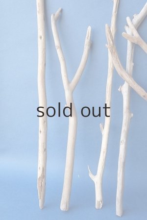 画像2: 小枝流木セット