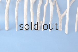 画像6: 小枝流木セット