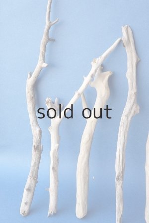 画像2: 小枝流木セット