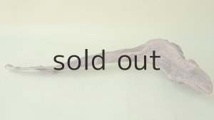 画像4: 変形流木