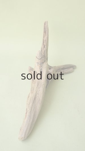 画像4: 変形流木