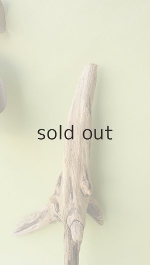 画像3: 変形流木