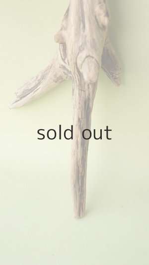 画像2: 変形流木