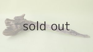 画像5: 変形流木