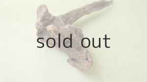 画像6: 変形流木