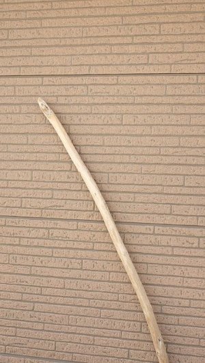 画像4: 棒流木・長尺