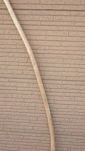 画像3: 棒流木・長尺